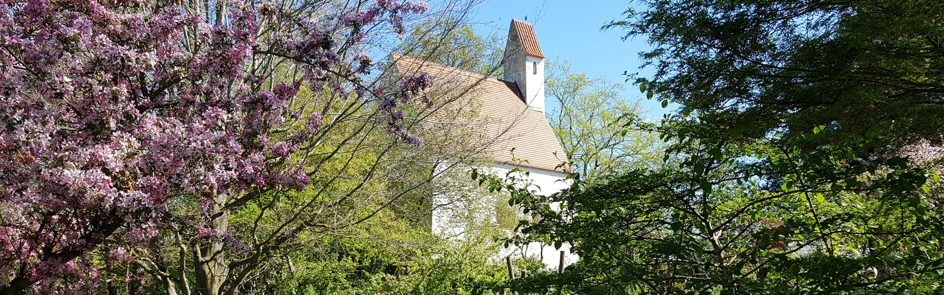 Headerbild 003 - weiss nicht